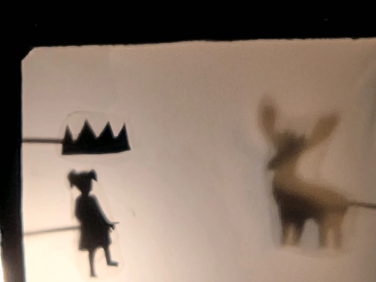 תיאטרון צלליות